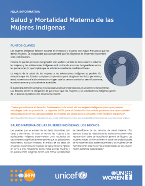Salud y mortalidad materna de las mujeres indígenas