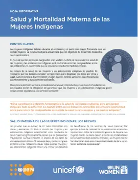 Salud y mortalidad materna de las mujeres indígenas