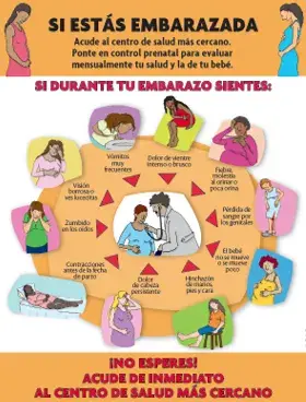 Afiche - Maternidad Sin Riesgos